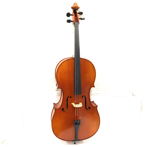 Ichii Hiroki Vilon Shop Model.H3860 Anno 2009 チェロ